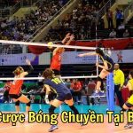 Cá Cược Bóng Chuyền Tại By88 Trải Nghiệm Đỉnh Cao Cái Bạc