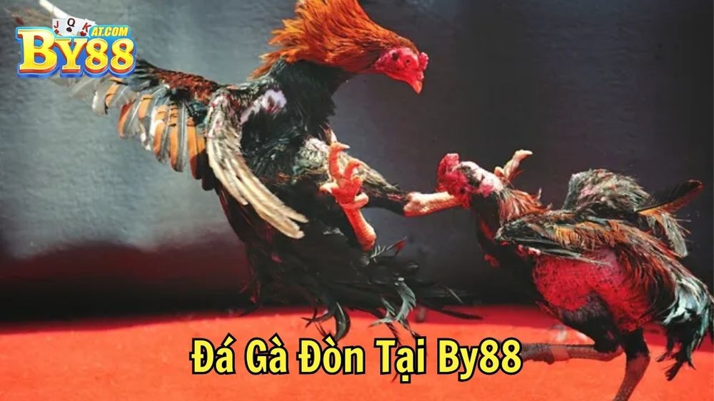 Đá Gà Đòn Tại By88: Hướng Dẫn Toàn Diện Cho Kê Thủ