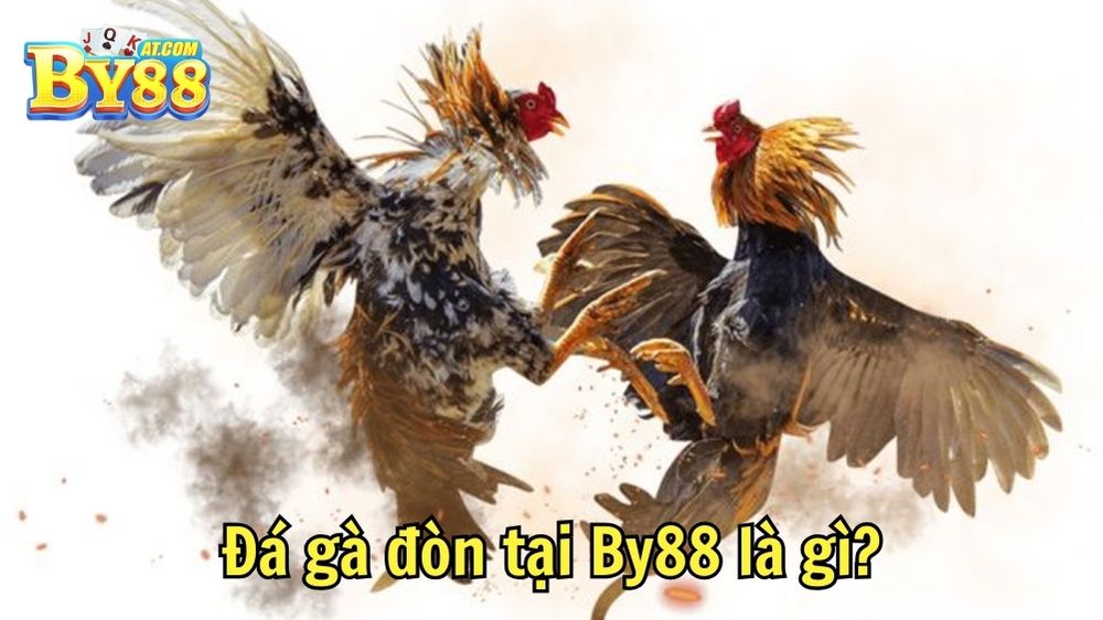 Đá gà đòn tại By88 là gì?
