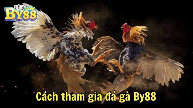 Cách tham gia đá gà By88